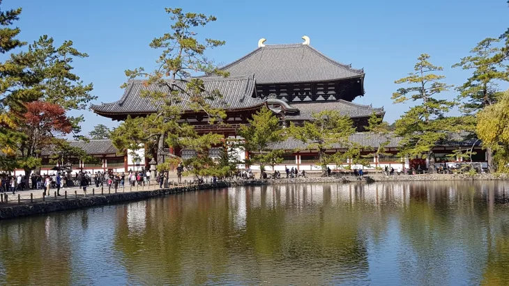 japan, todaiji, buddhist temple, sunlight, reflection, todaiji, todaiji, todaiji, todaiji, todaiji