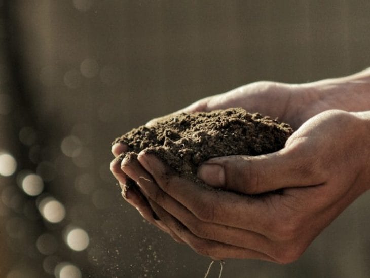bokeh photography of person carrying soil