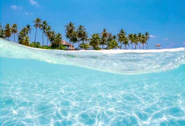 crystal clear water near coconut trees under the sun